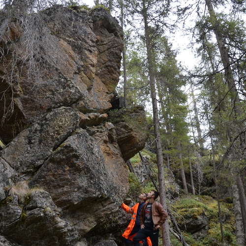 Photo #13774050