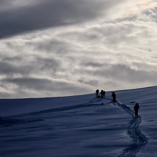 Photo #13774051