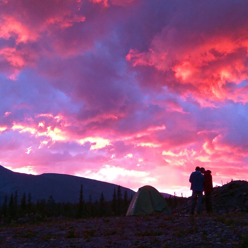 Photo #13774082