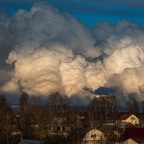 Photo #13774147