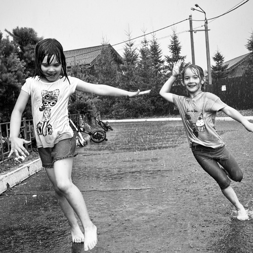 Photo #13774159