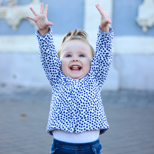 Photo #13774168