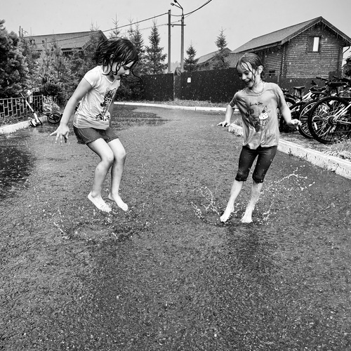 Photo #13774189