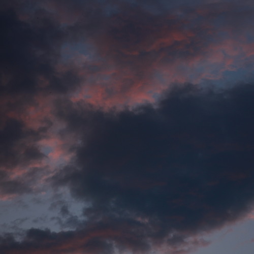 Photo #13774193