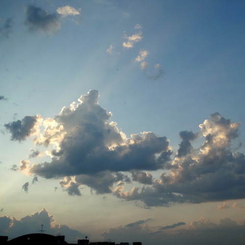 Photo #13774194