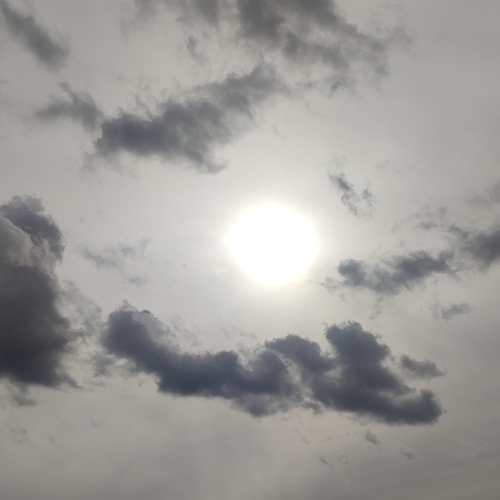 Photo #13774202