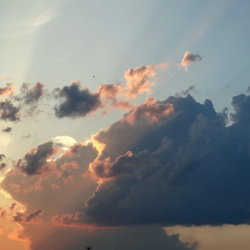 Photo #13774207