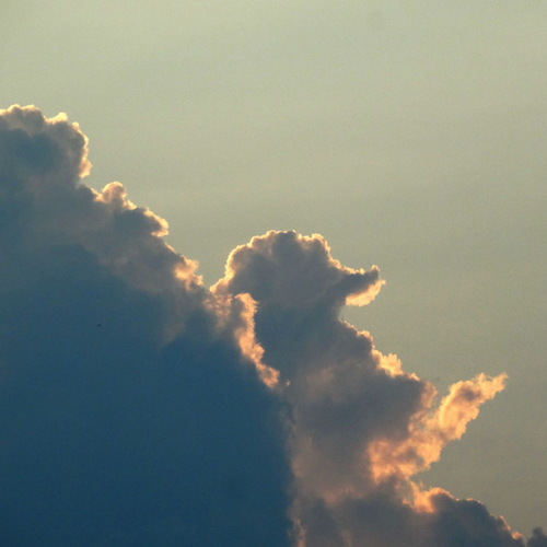 Photo #13774212