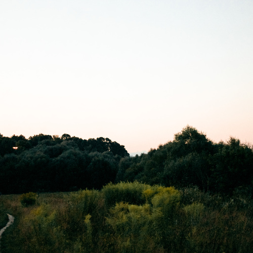 Photo #13774294