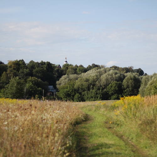 Photo #13774299