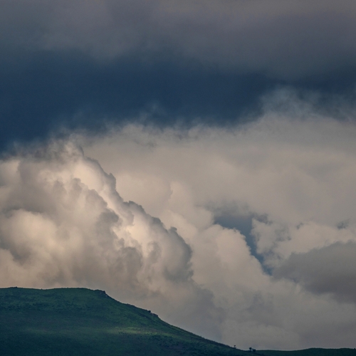 Photo #13774317