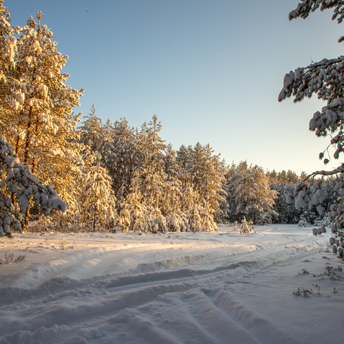 Photo #13774326