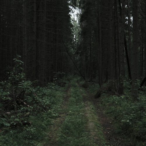 Photo #13774335