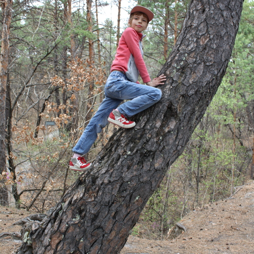 ДОЧЬ