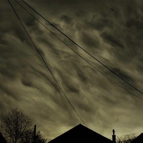 Photo #13774542