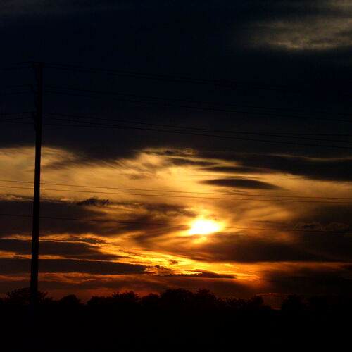 Photo #13774546
