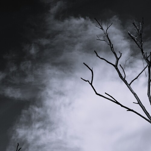 Photo #13774656
