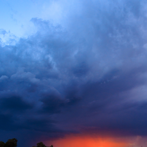Photo #13774683