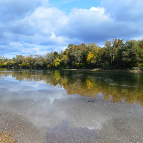 Photo #13774699