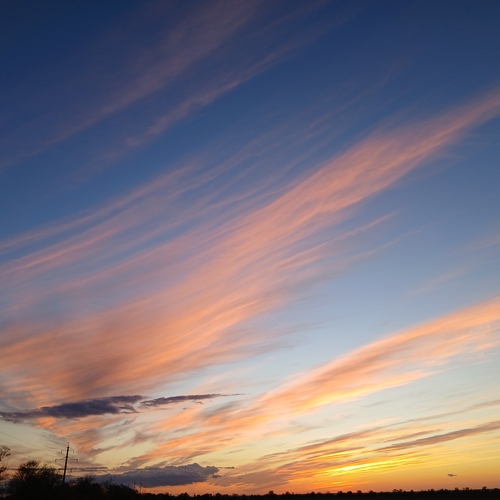Photo #13774844