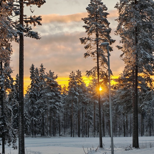 Photo #13774847