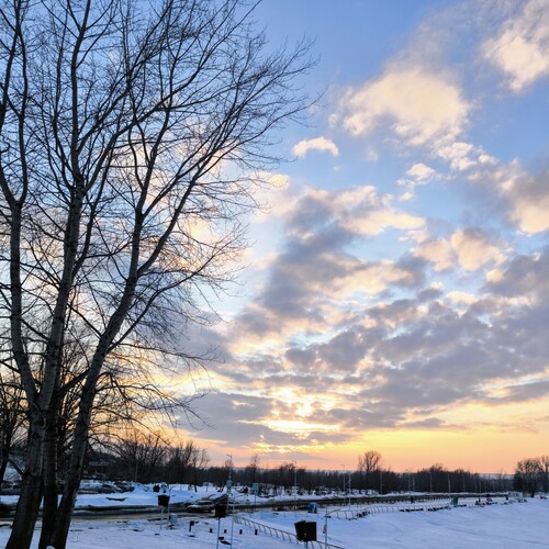 Photo #13774877