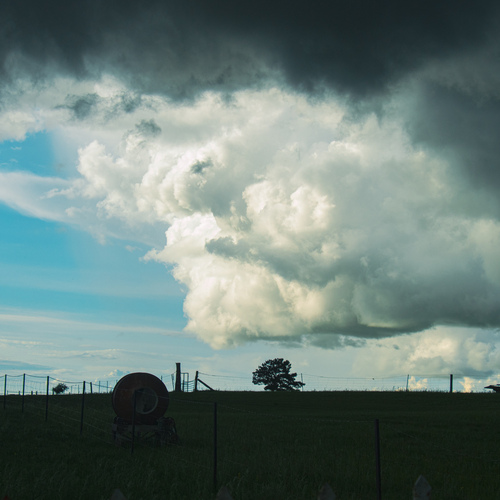 Photo #13774900
