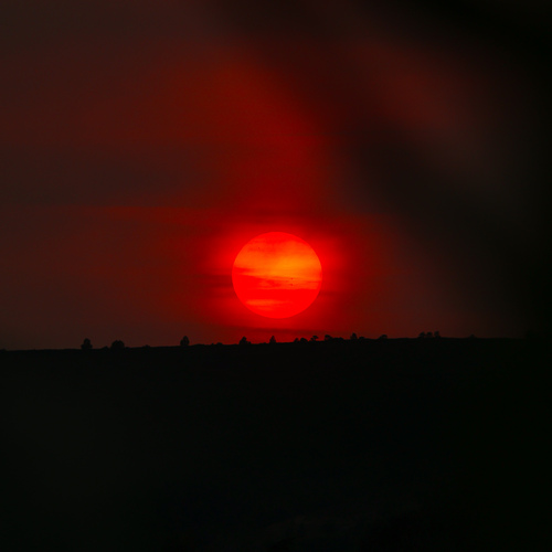 The apocalypse day