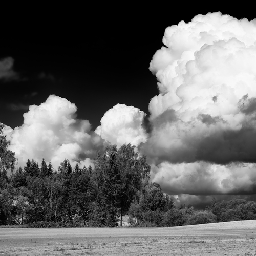 Photo #13775140