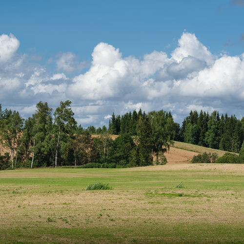 Photo #13775147