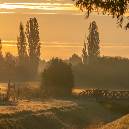Sunrise Panorama