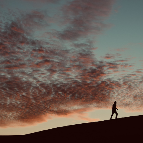 Photo #13775344
