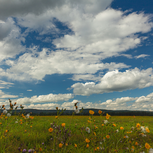 Photo #13775366