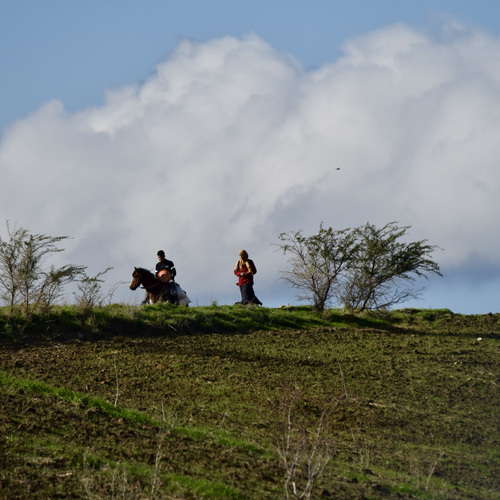 Photo #13775370
