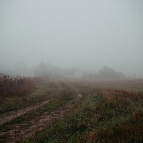 Photo #13775402