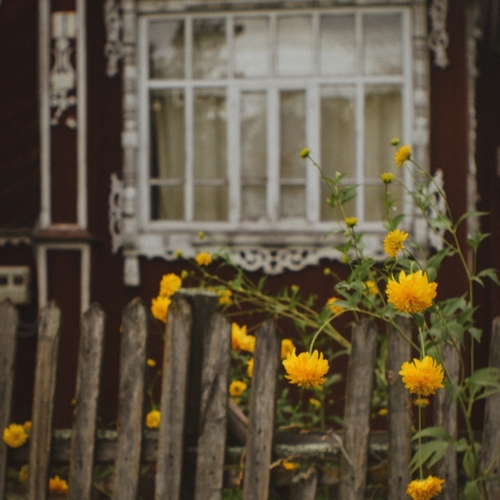 Photo #13775434