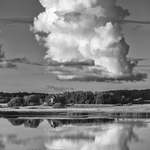 Photo #13775440