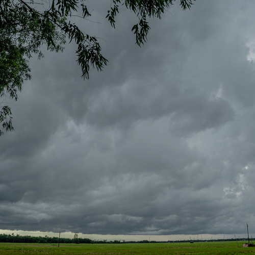 Photo #13775455