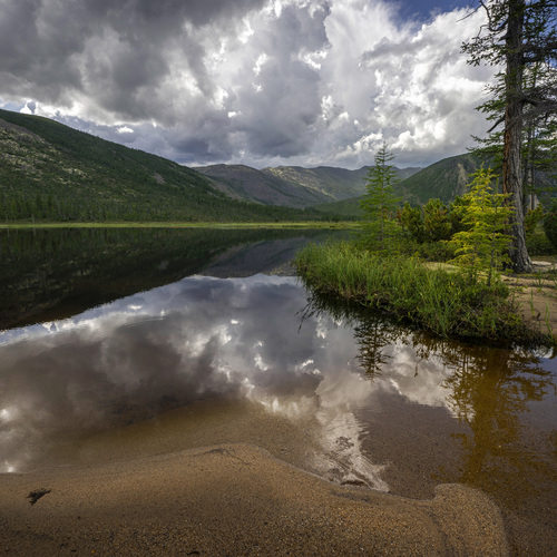 Photo #13775507