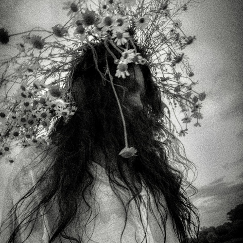 Photo #13775555