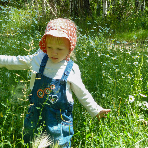 Photo #13775588