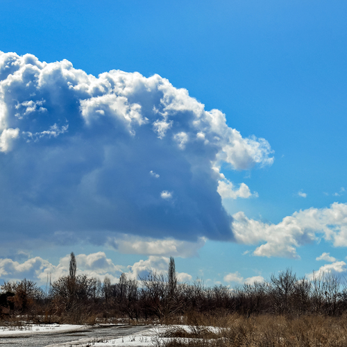 Photo #13775659