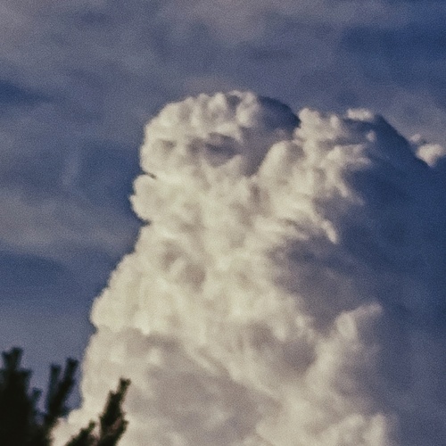 Photo #13775678