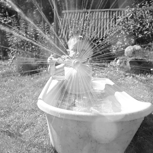 Photo #13775707