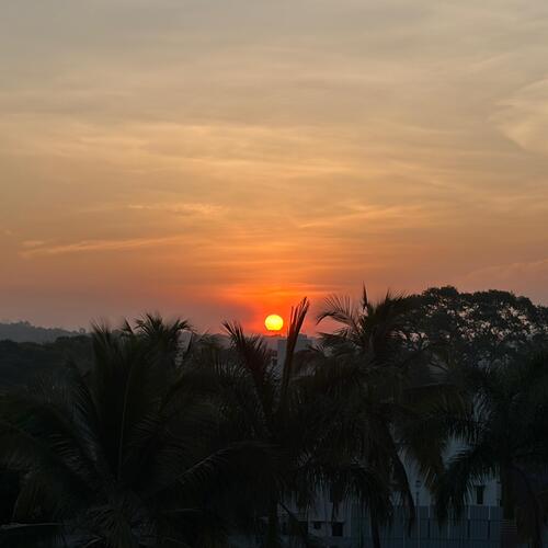 Photo #13775762
