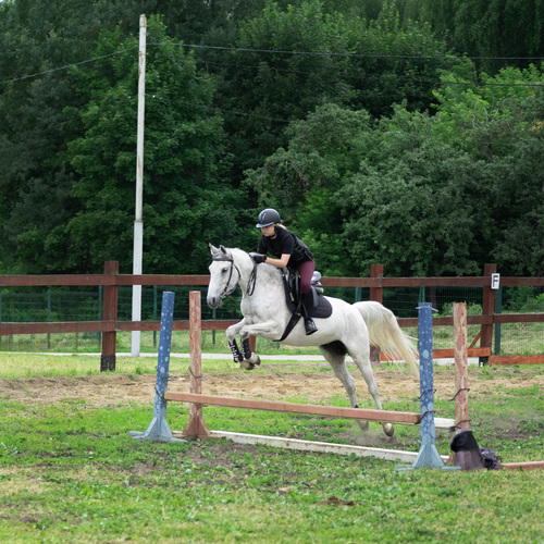 Photo #13775776