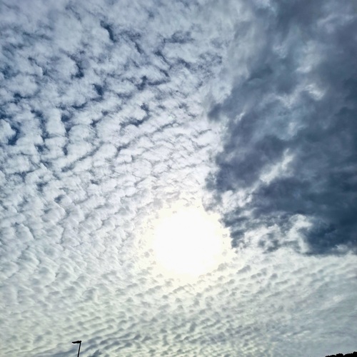 Photo #13775778