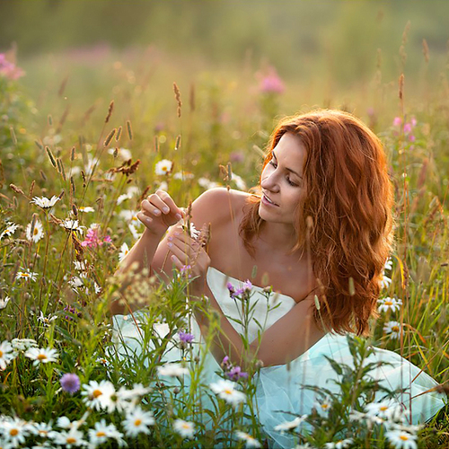 Photo #13775785