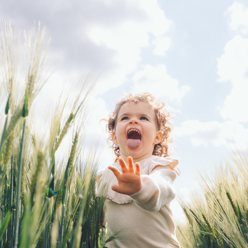 In the fields