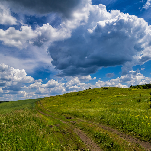 Photo #13775878